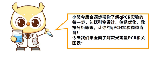 涨知识 | qPCR专场三：全面认识荧光定量PCR相关图表