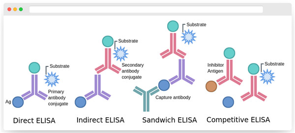 找不到罕见物种指标的ELISA？找MyBioSource吧！