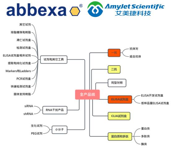 艾美捷丨Abbexa 一抗、二抗、蛋白质等生物试剂方案 艾美捷丨Abbexa 一抗、二抗、蛋白质等生物试剂方案