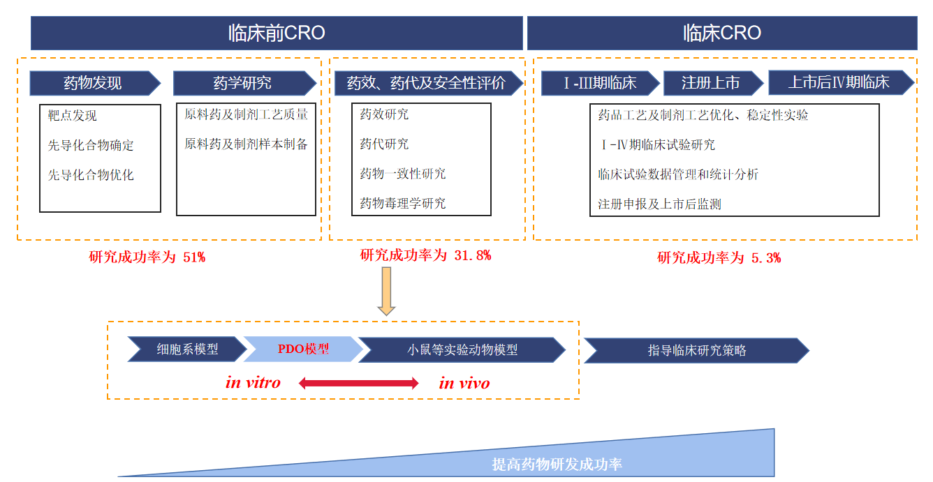如何用类器官技术解决药物筛选问题？