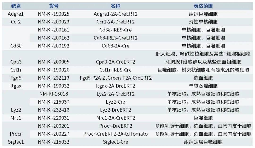 免疫鼠鼠大军来袭，快来pick你喜欢的队伍