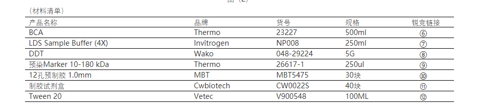 新闻图片6