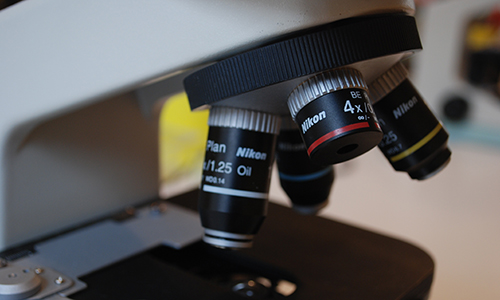 为什么支原体成为细胞培养实验室的常规监测？