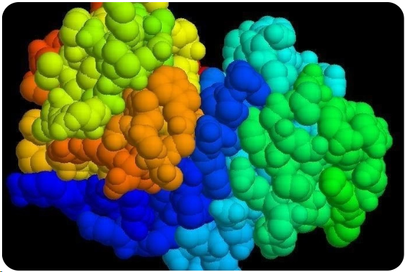 上新 | 你家的蛋白酶K，是低残留的吗？