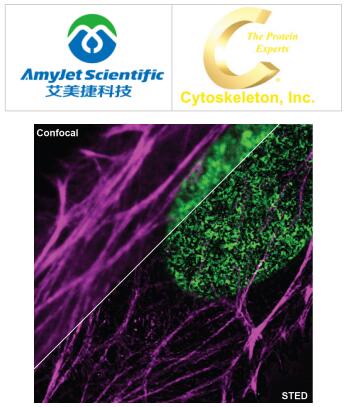Cytoskeleton 艾美捷SPY505-DNA说明书