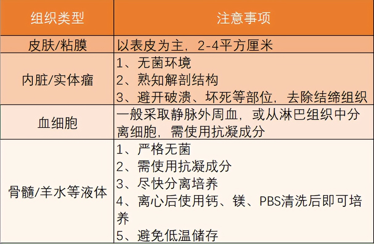 原代细胞培养小技巧