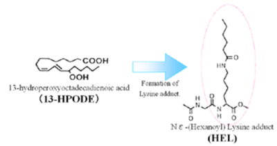 艾美捷抗己酰赖氨酸（HEL）单克隆抗体现货促销，抢完即止！