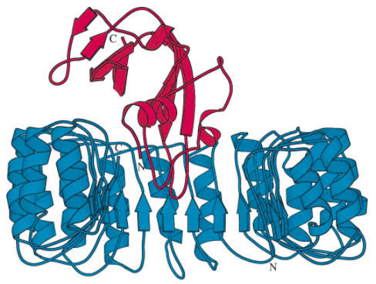 新品│UCF.ME超低残留猪源RNase抑制剂，让RNase污染不再成为烦恼！