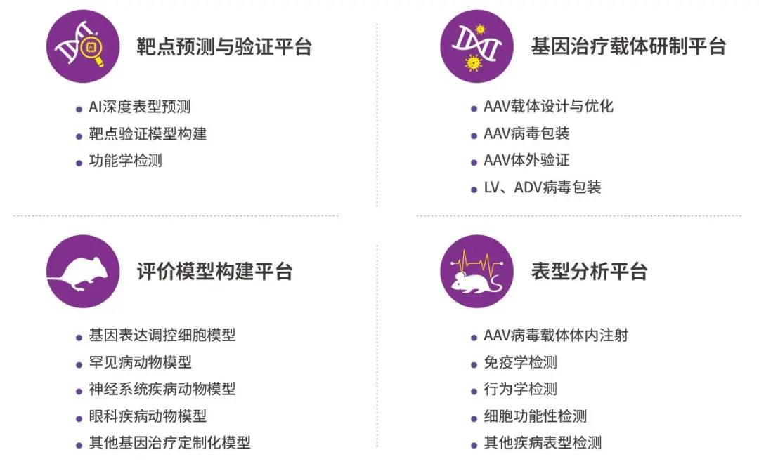 PPA1基因敲除小鼠模型