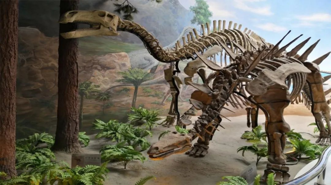 Vanquish Core带你探索生命之源