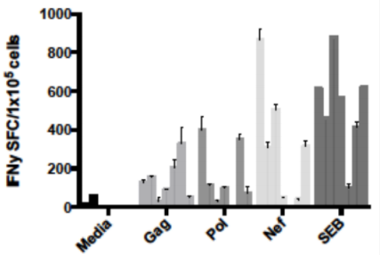 PepMix AAV2(折叠蛋白VP1)，促销盛宴不要错过！