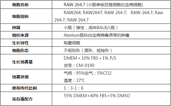 细胞学堂丨RAW264.7分化有哪些问题要注意