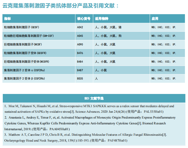 云克隆集落刺激因子类抗体