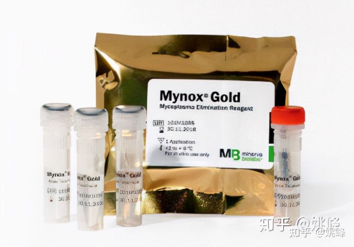 支原体污染会对细胞培养有何影响？