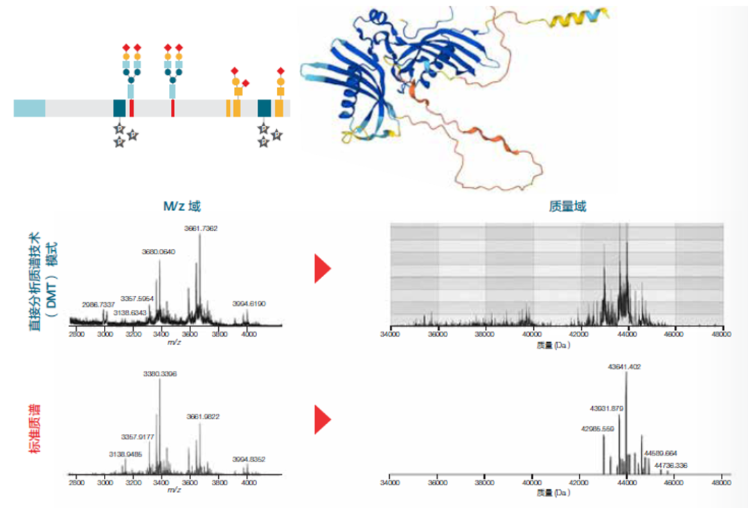 质谱检测新方向,直接分析质谱技术
