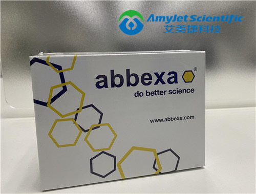 Abbexa丨Abbexa Actin-pan细胞ELISA试剂盒介绍 Abbexa丨Abbexa Actin-pan细胞ELISA试剂盒介绍