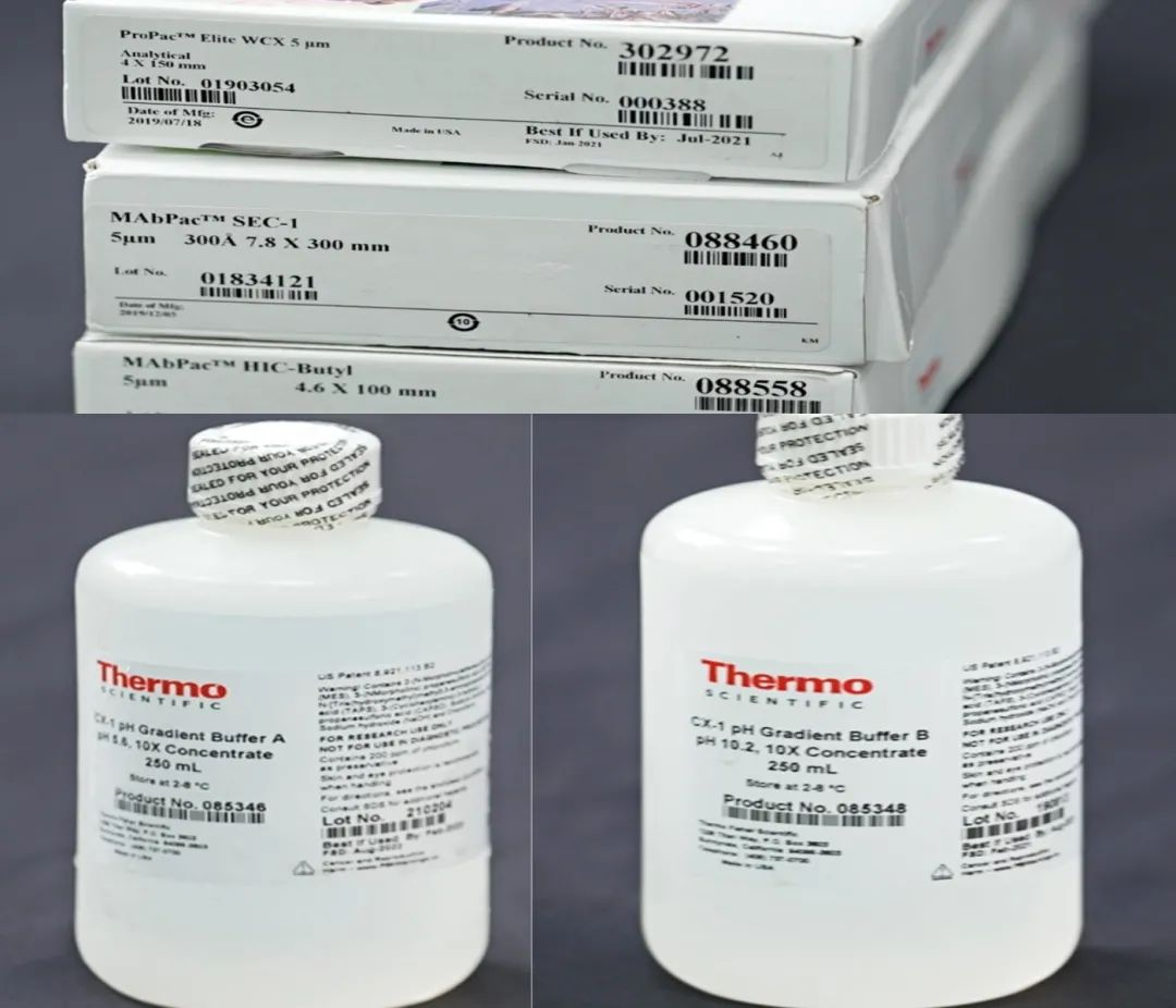 拥有“全能Buffer”，助攻蛋白平台表征