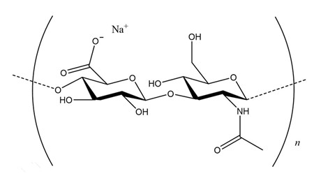 Echelon/艾美捷——透明质酸钠–3000 kDa研究