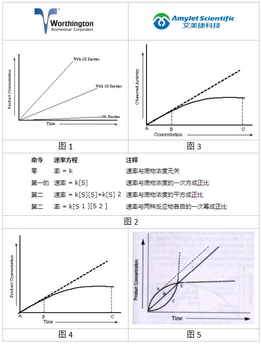 worthington影响酶活性的因素丨worthington酶浓度