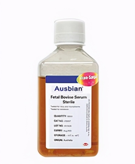 细胞培养时为什么要加入胎牛血清？