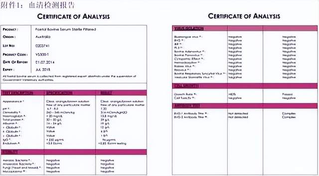 细胞培养中的抗生素究竟是敌是友？