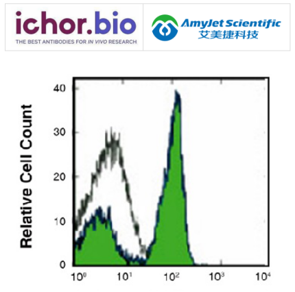 Ichorbio代理商艾美捷 抗CD45R体内抗体