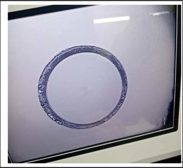 开年大促 | 陶瓷插针低至六折，超级省钱快来开抢吧