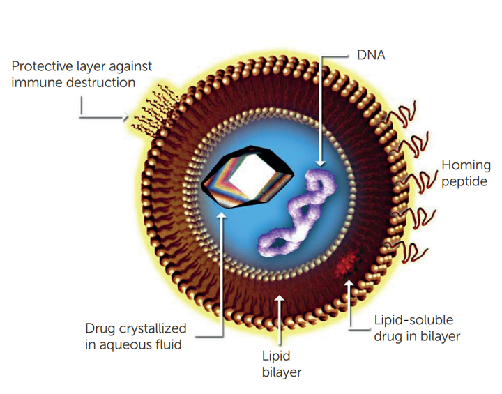PSS粒度仪在脂质体的应用