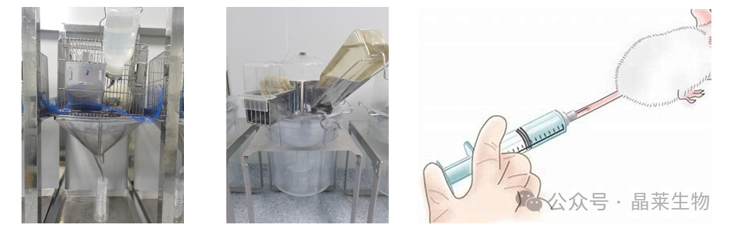 1709541666538727.png 新闻图片5