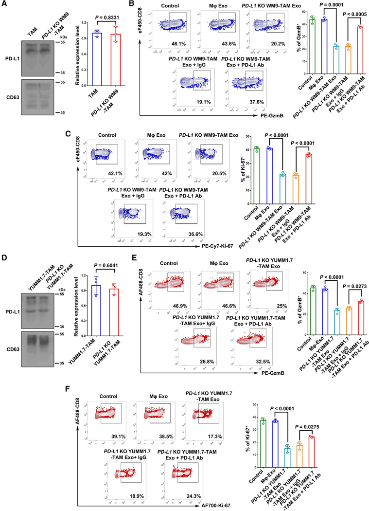 外泌体技术服务
