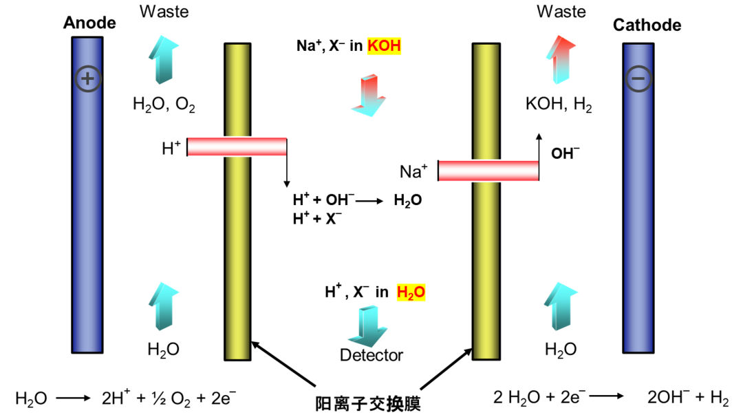 警惕“氟”污染-赛默飞CIC燃烧离子色谱助力PFAS分析
