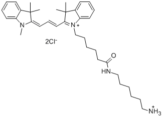 Lumiprobe 超全活性荧光染料