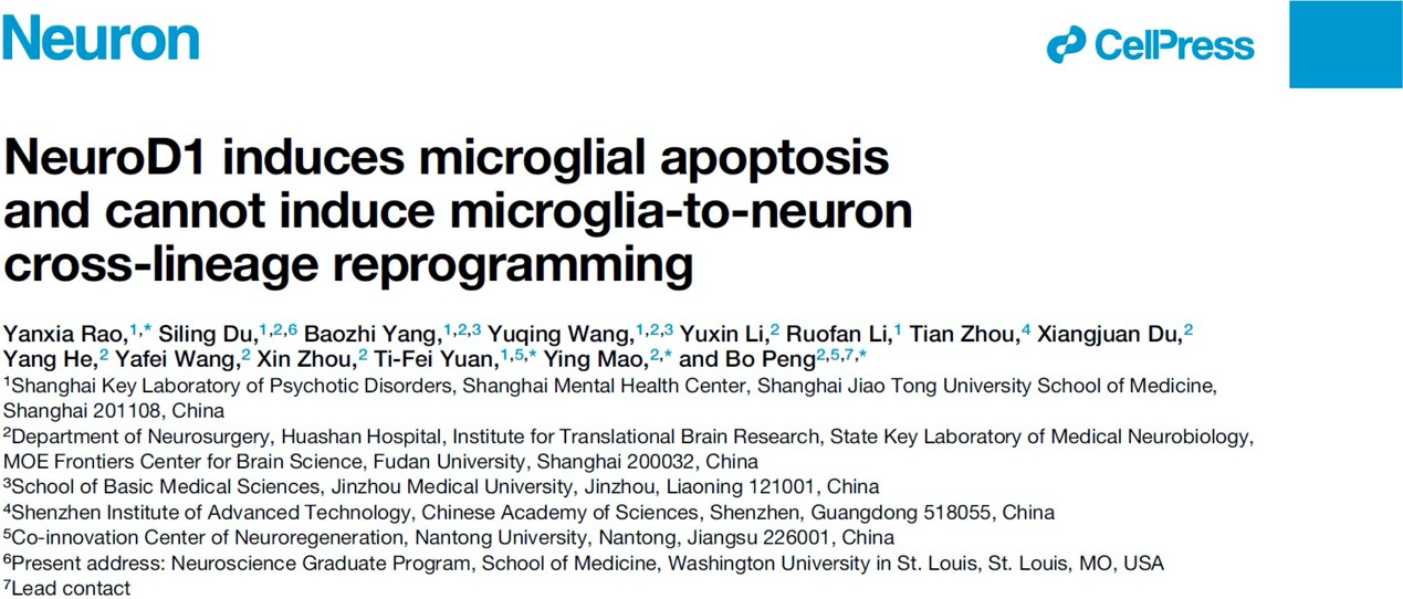 Neuron | 彭勃等人提出了验证胶质细胞转分化的基本原则，并证明NeuroD1不能介导小胶质细胞-神经元重编程