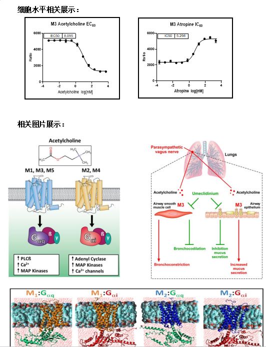 新闻图片1