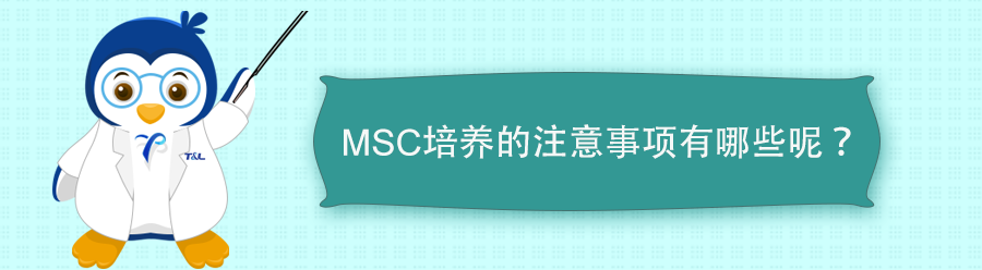 干货 | MSC细胞培养 “秘籍”