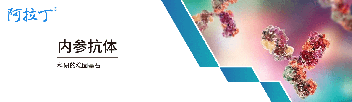 阿拉丁®内参抗体