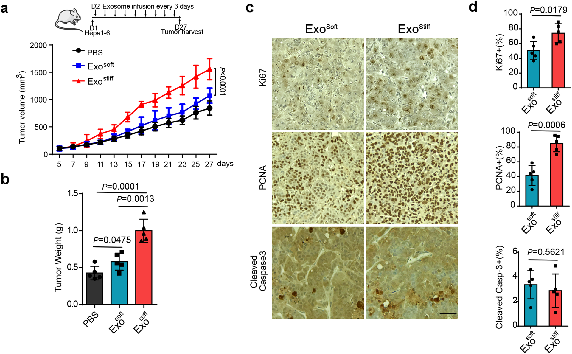 外泌体检测 外泌体检测