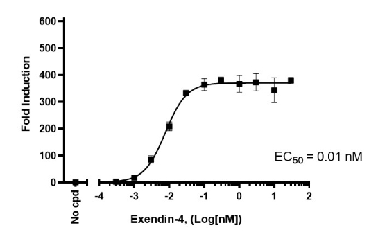 GLP-1R/CRE Luc报告基因 HEK293 细胞系