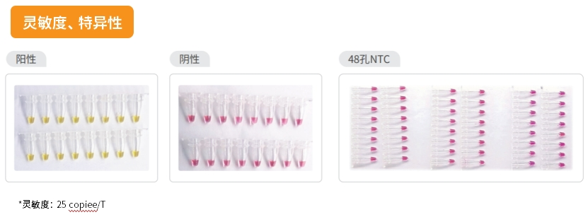 等温扩增LAMP——分子POCT明星产品