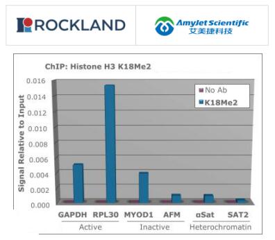 Rockland 艾美捷组蛋白H3 K18me2抗体说明书 Rockland 艾美捷组蛋白H3 K18me2抗体说明书