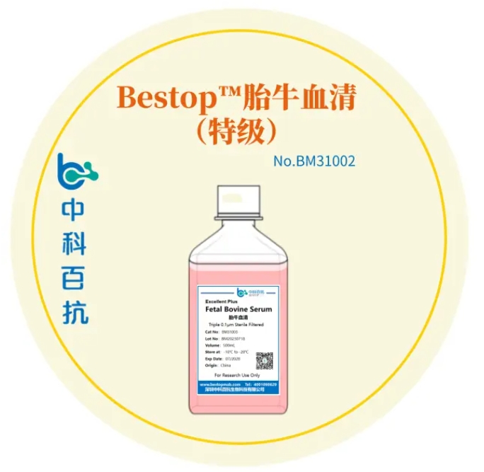 细胞培养之胎牛血清的作用跟功效