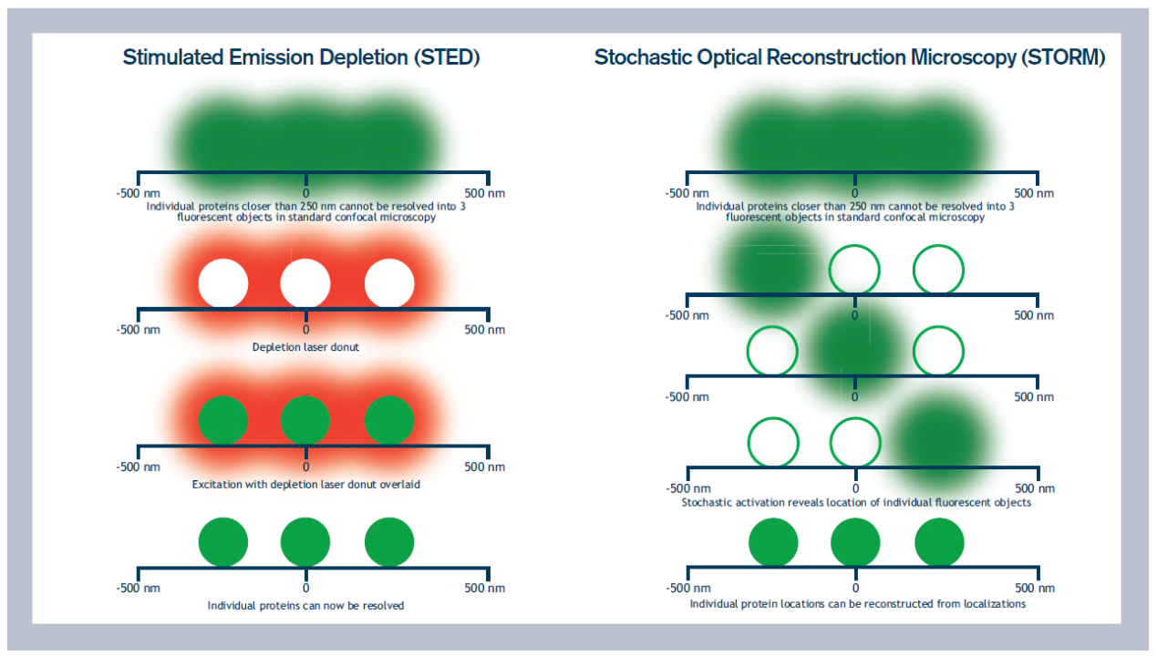 用于超分辨光学显微成像技术的二抗偶联标记