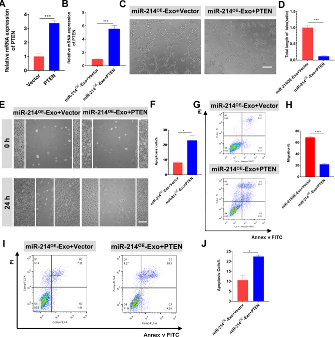外泌体技术服务