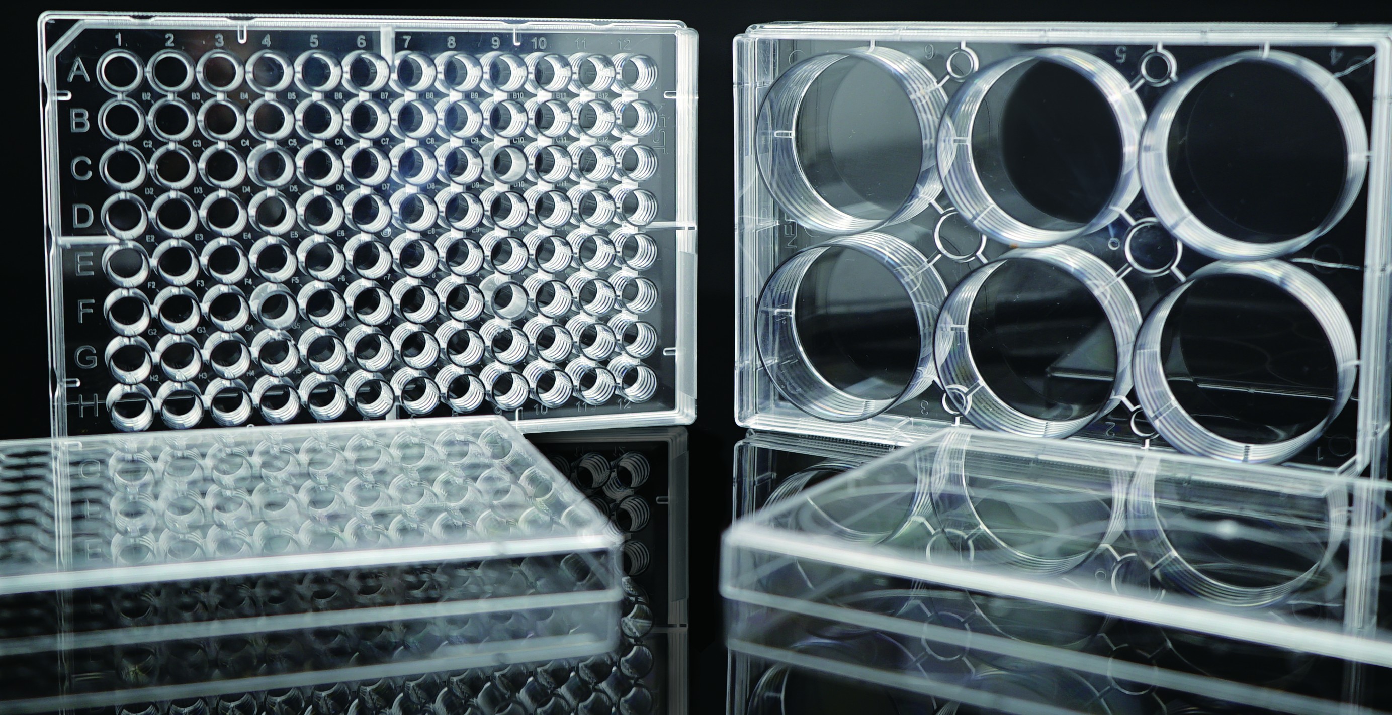 解决方案|减少边缘效应的 “护城河” 细胞培养板