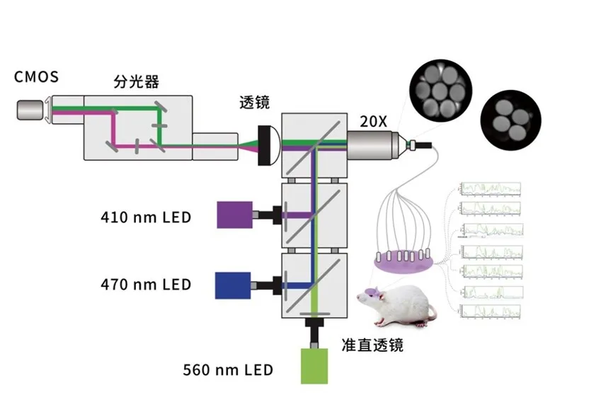 如何选对光纤记录实验的耗材配件，达到最大效率的信号传输？