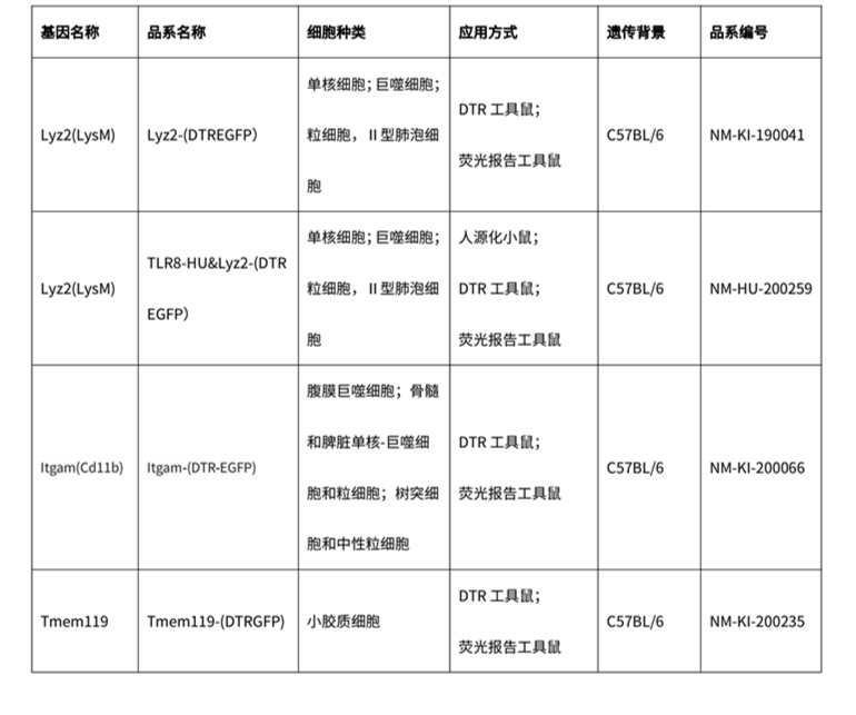 巨噬细胞上线，贴心呵护您的每一天
