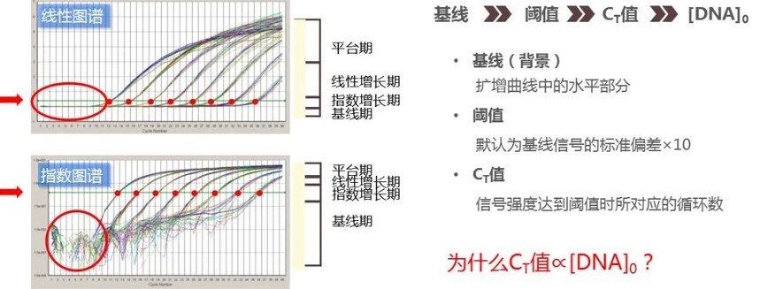 实验技巧 | 实时荧光定量PCR实验数据分析（超全教程）