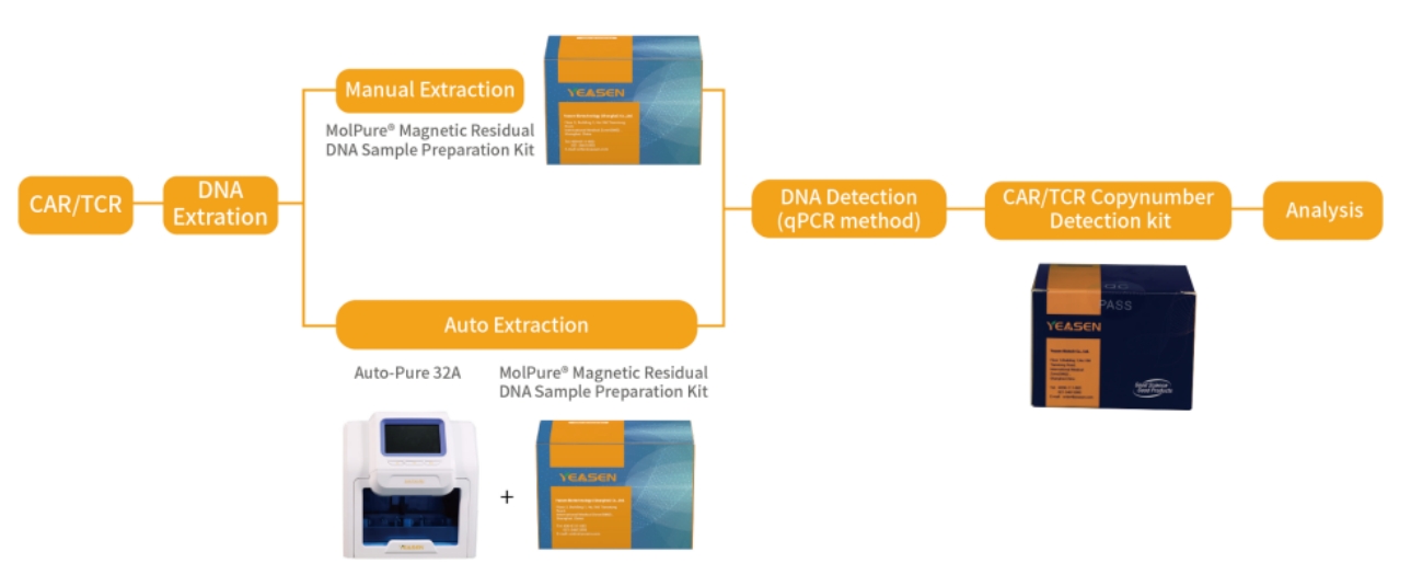 CAR-T细胞载体拷贝数检测的qPCR法考量