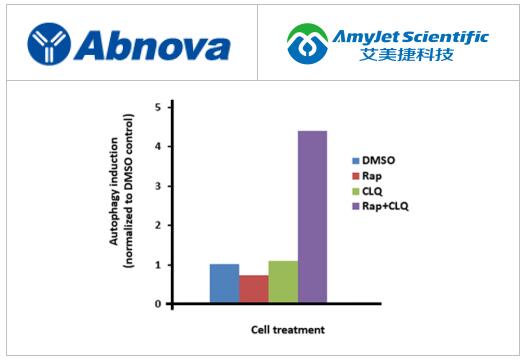  Enzo CYTO-ID自噬检测试剂盒特点&作用机制