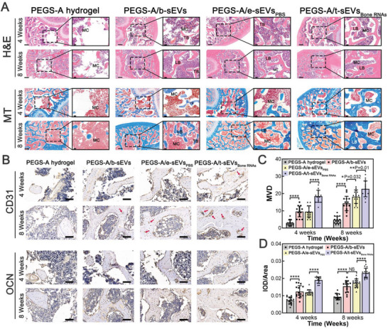 外泌体技术服务 外泌体技术服务